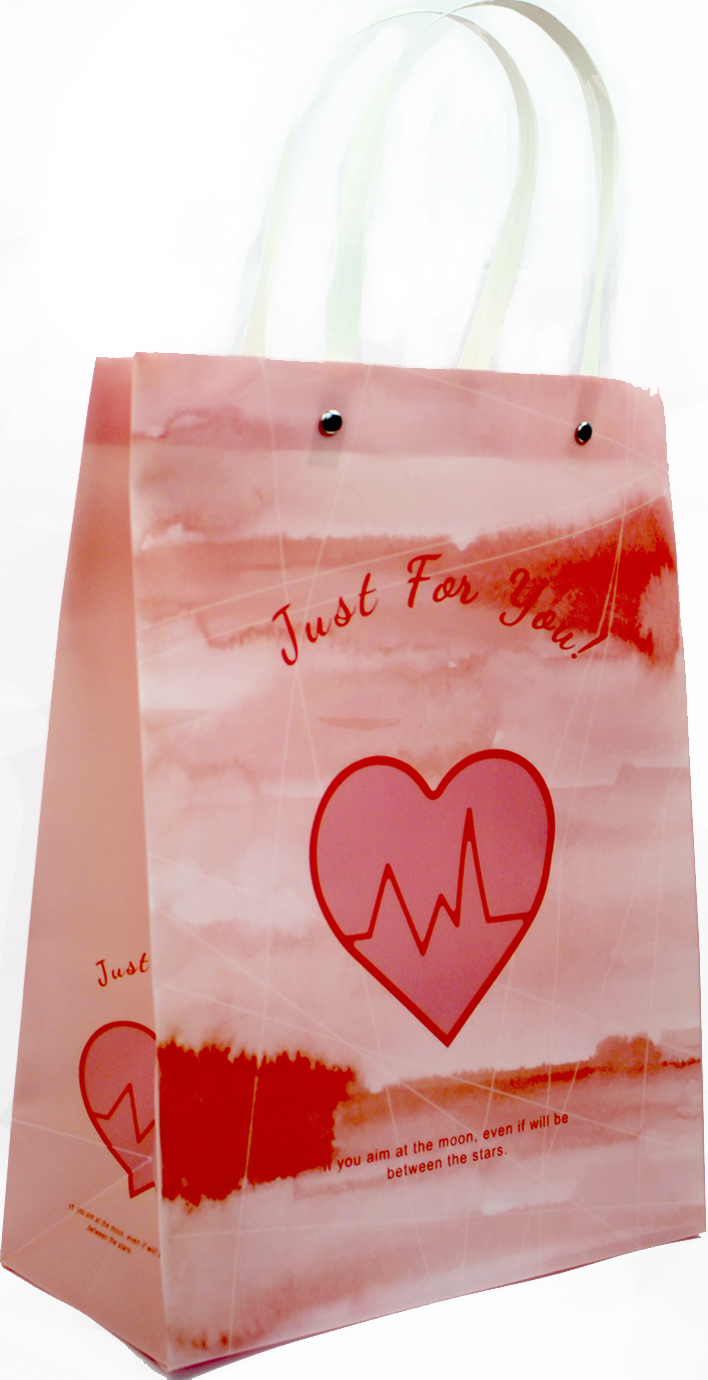 Пакет подарунковий пласт. 25х33см,4 види №6617/462505/Leader/(12) — фото товару | Канцелярський Сад