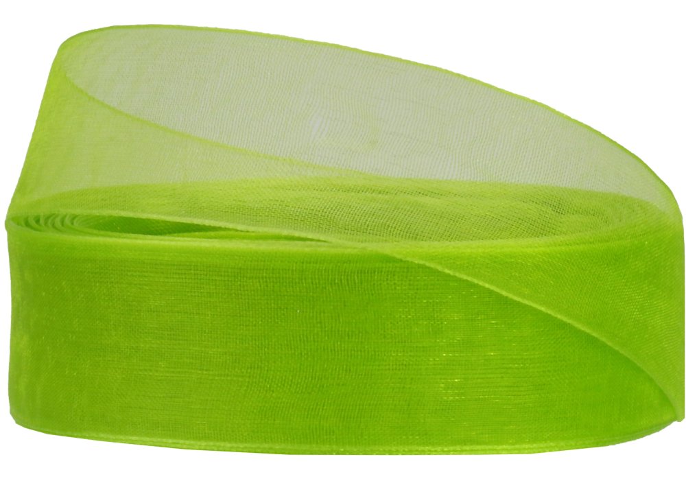 Стрічка органза "Maxi" 2,5смх22,86м салатовий №MX62530-1098 — фото товару | Канцелярський Сад