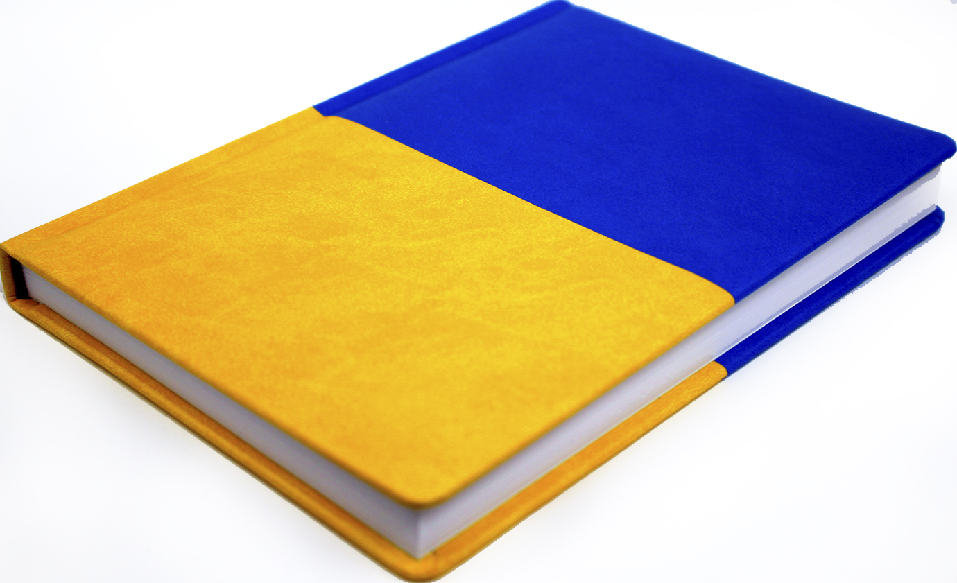 Щоден. А5 "Economix" недат. Vivela жовто-блакитний №E22062-98(20) — купити | Канцелярський Сад